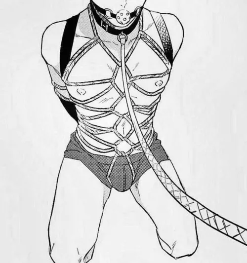 Who wants to go for a walk?