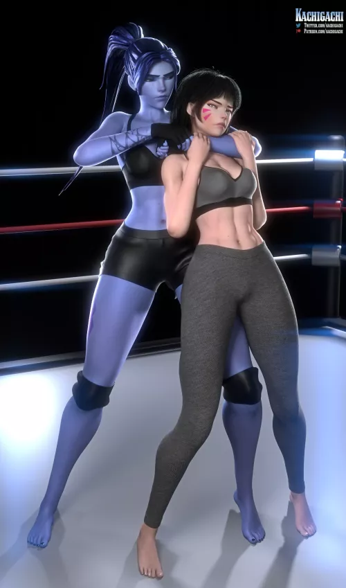 Widowmaker & D Va (Kachigachi)