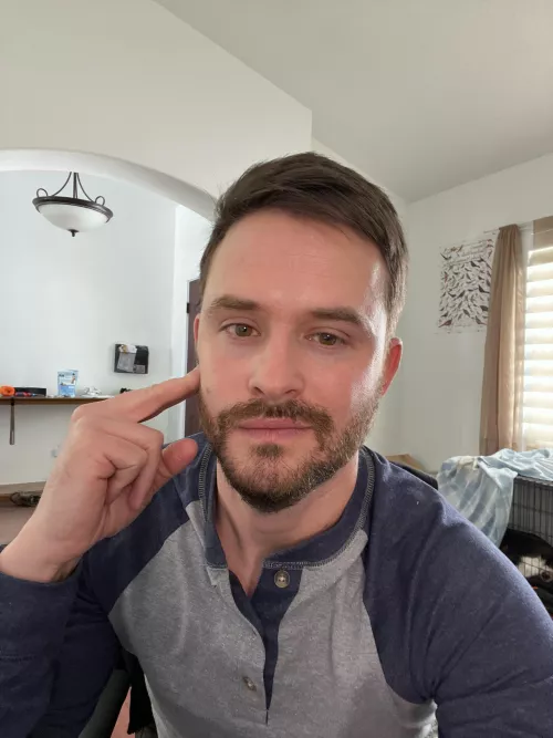 Working from home after the blizzard