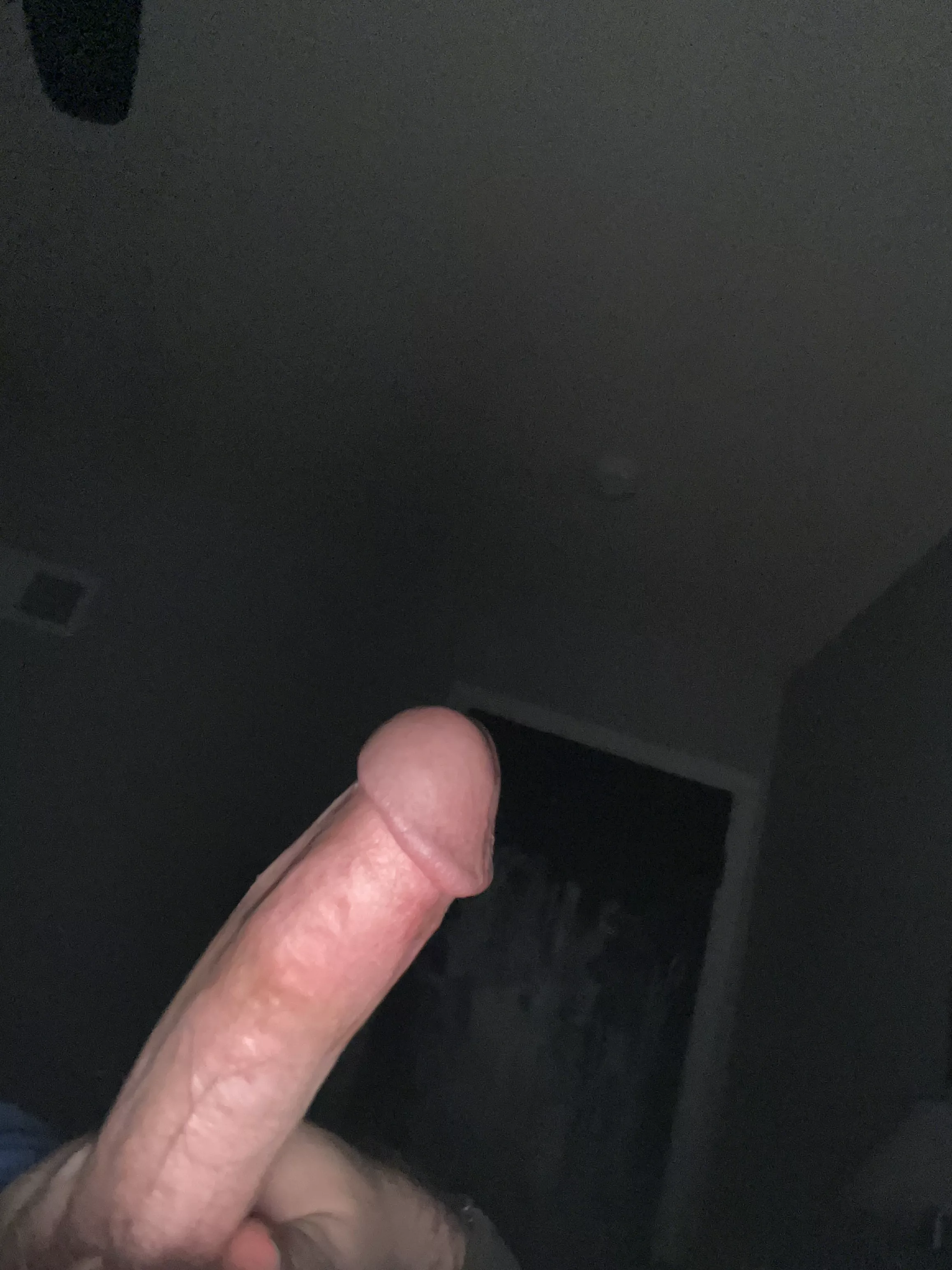 Would you sit on it it I asked nicely? (47)