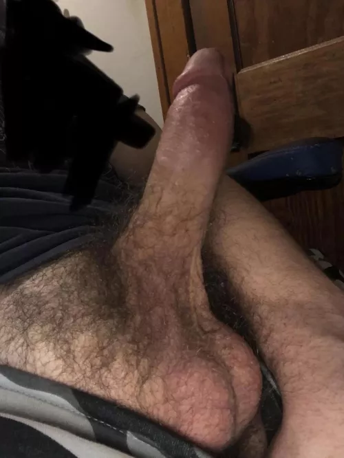 18 m thick hairy cock @pandalol66w