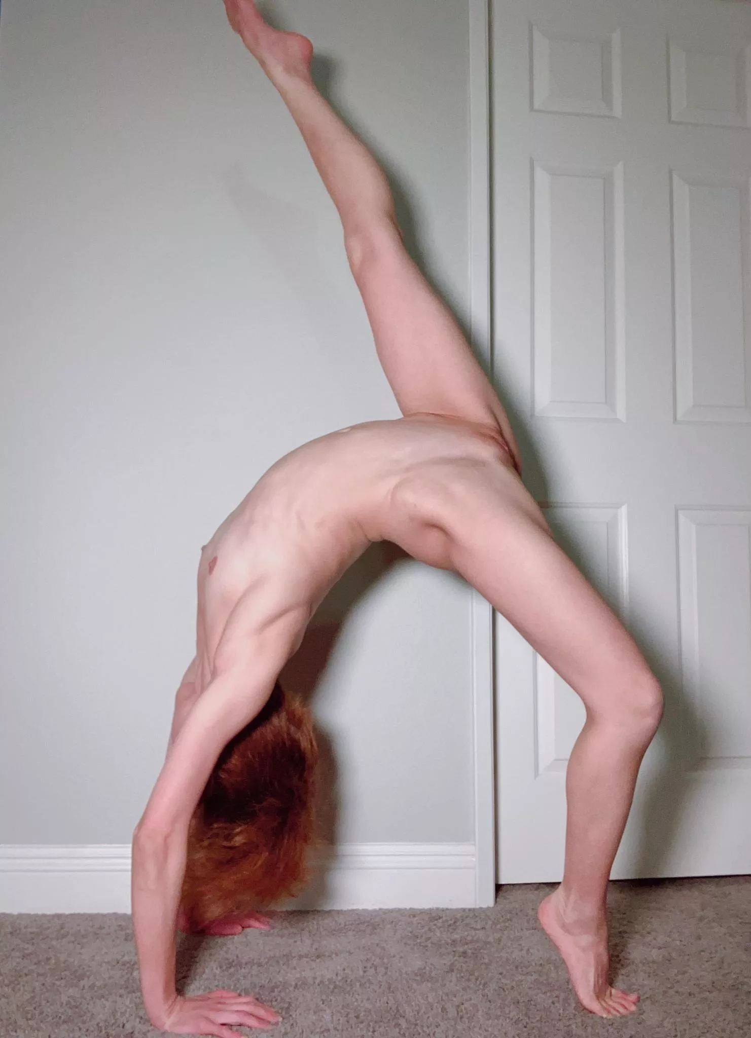 A flexible Asian is here!