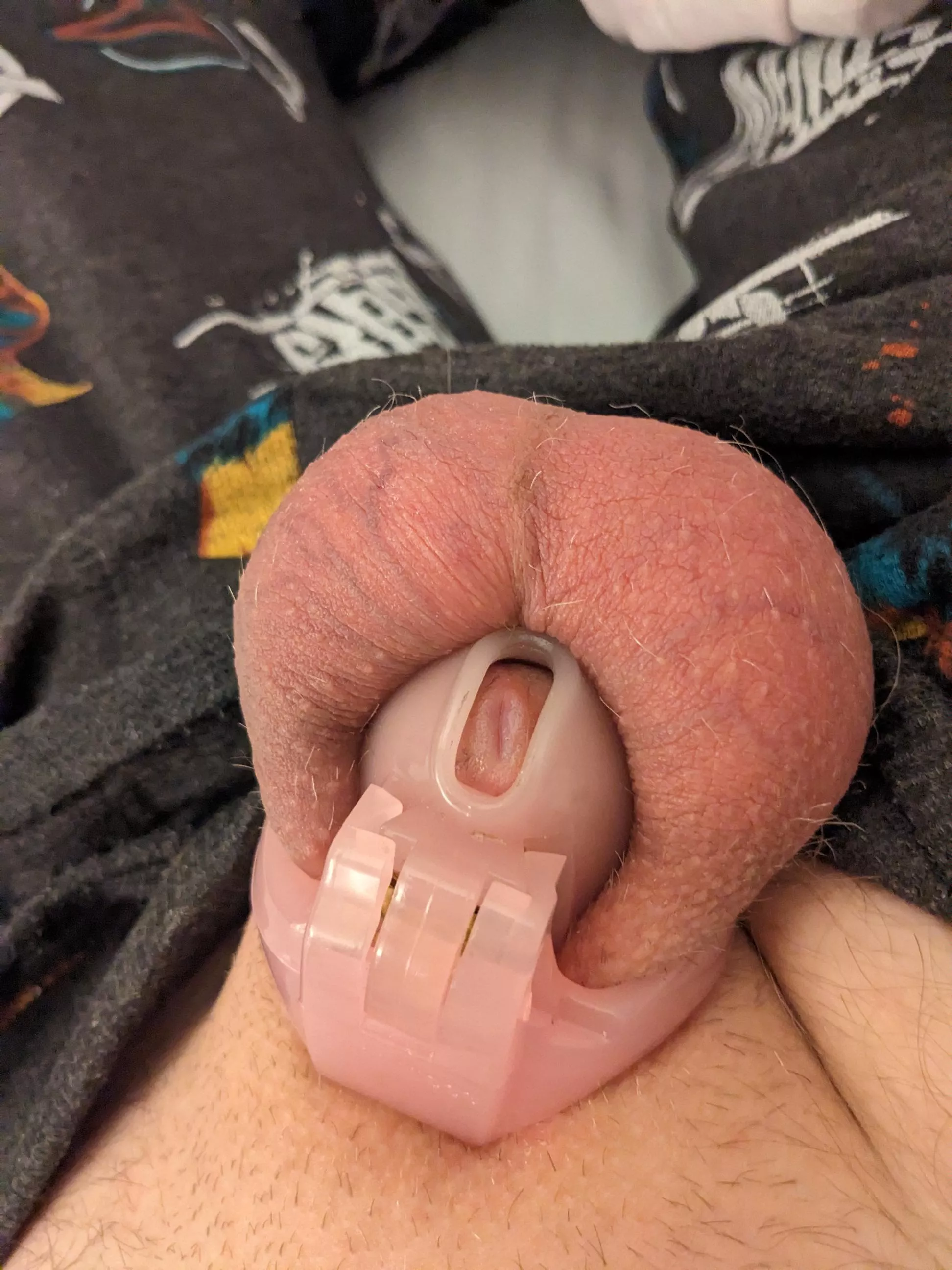 after an hour and a half of edging I'm back locked and it almost looks like it's shrunk slightly