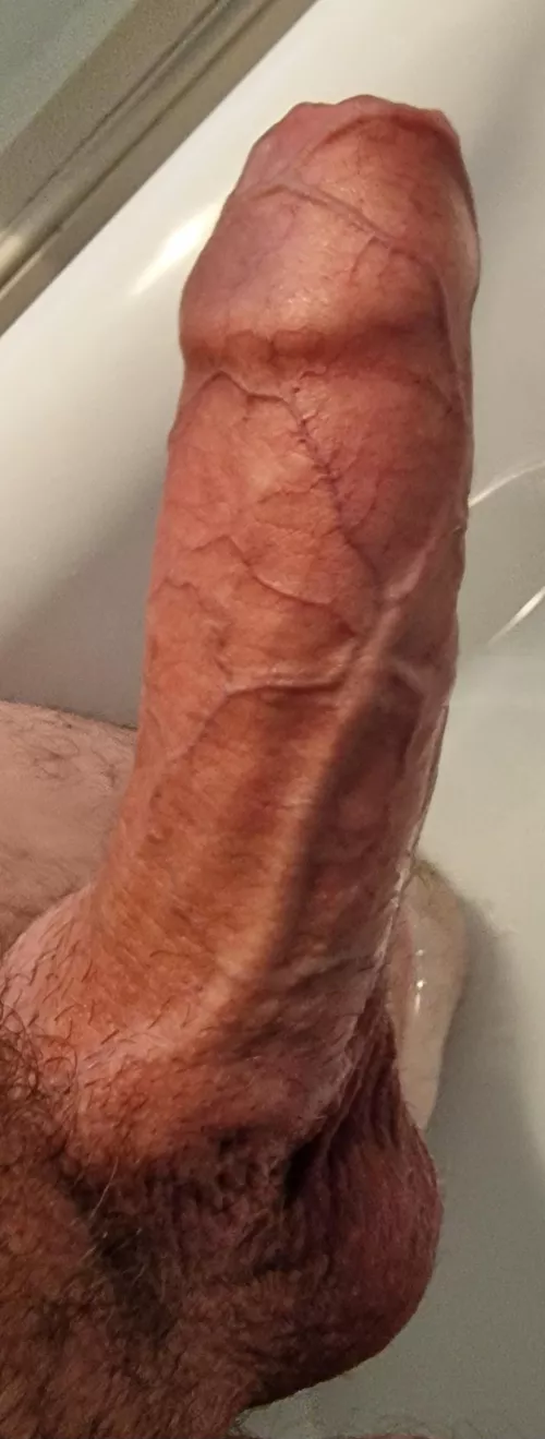 Foreskin Friday!!