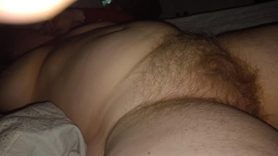 fresh photo of my bush. f51