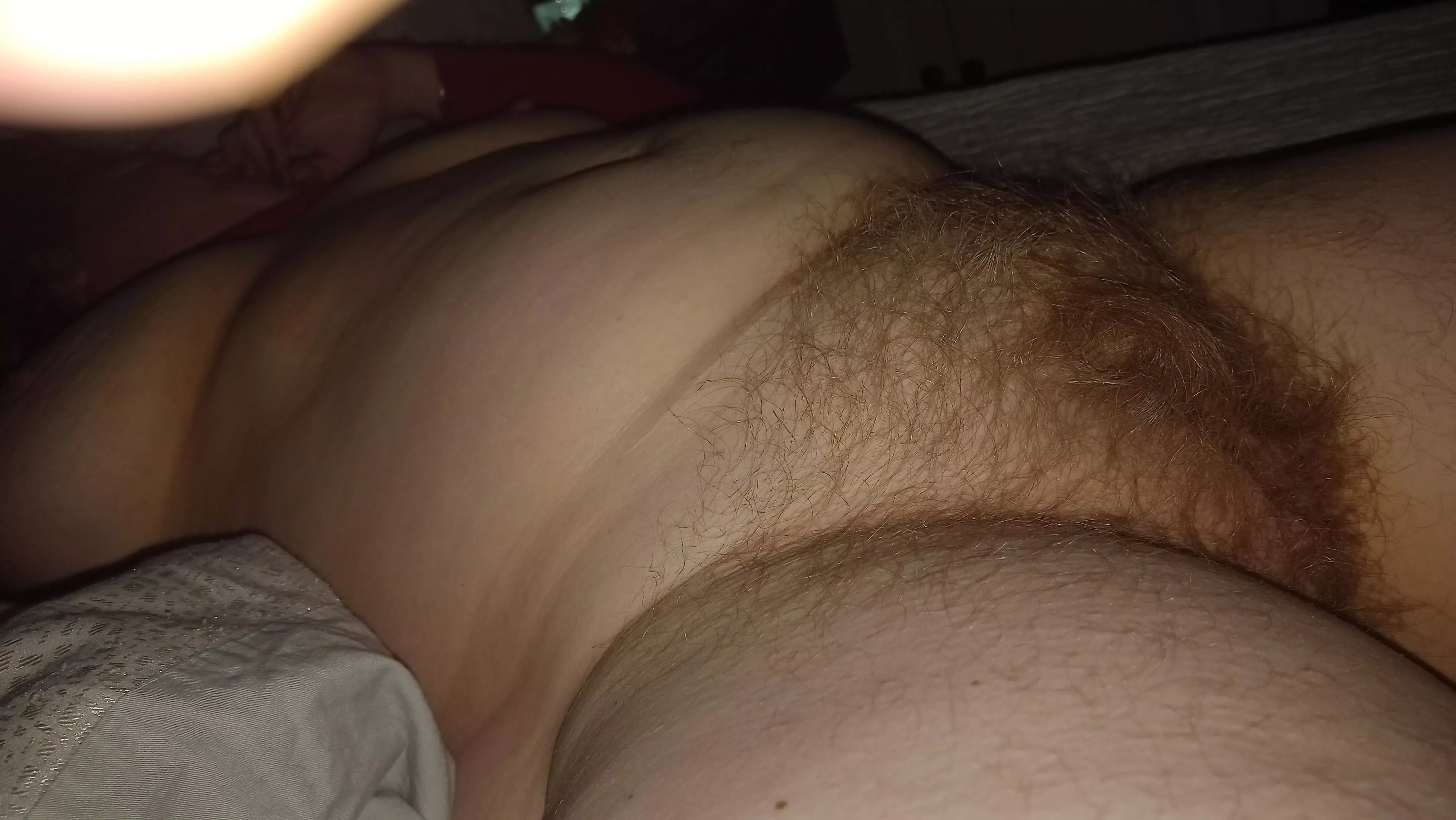 fresh photo of my bush. f51