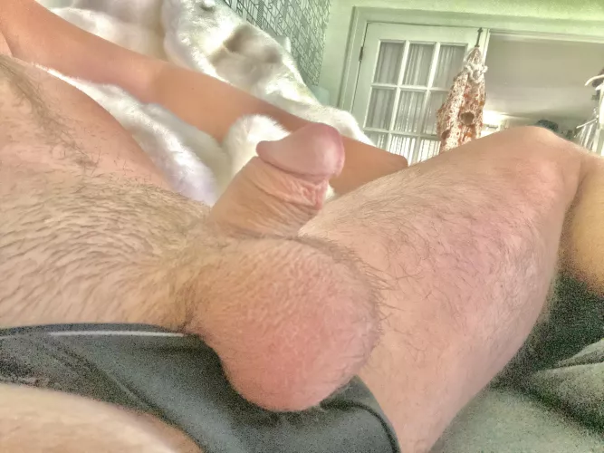 Fuzzy wuzzy was a 🧸