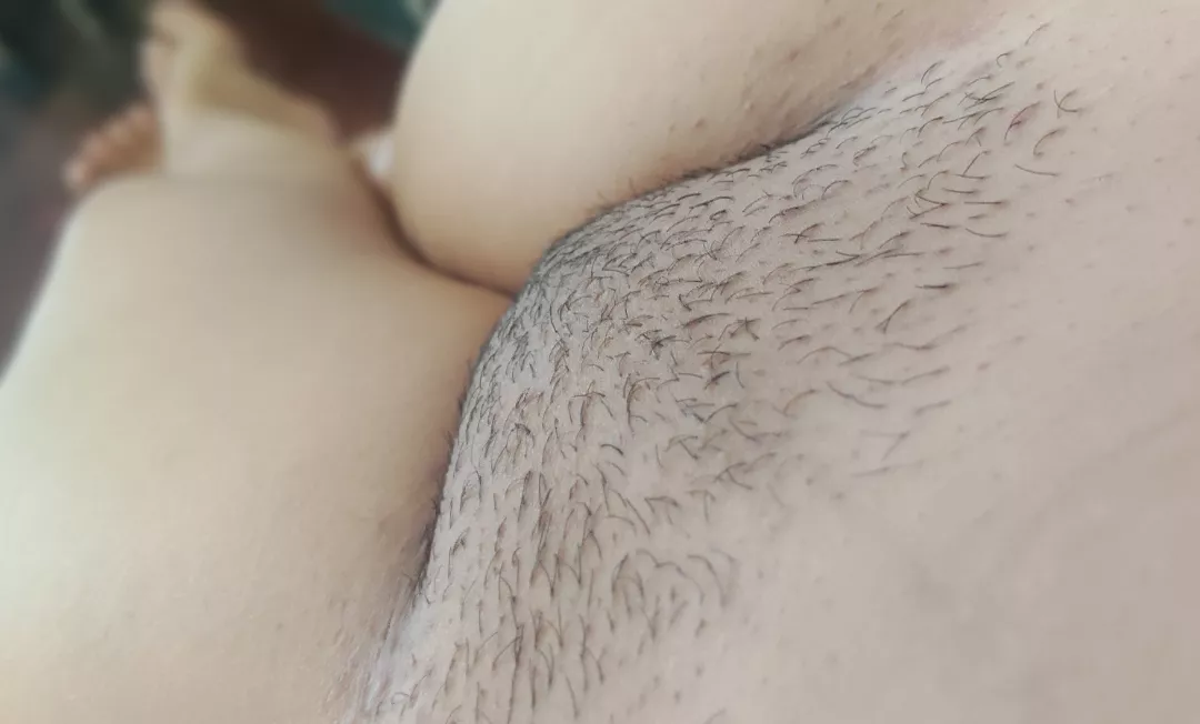 Hairy mound.