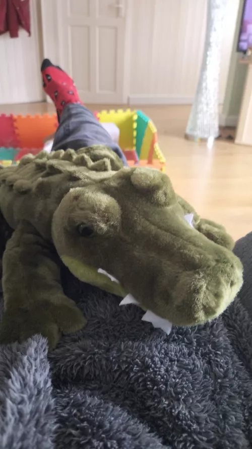 meet Ronnie the crocodile my new toy from sea life center