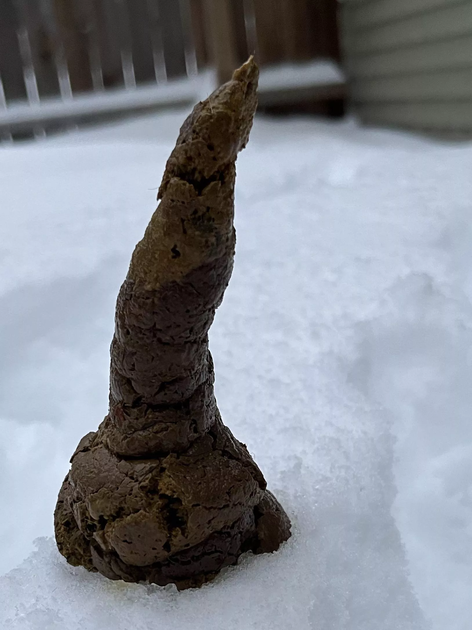 “Mr. Potter, are you ready for the sorting hat?”