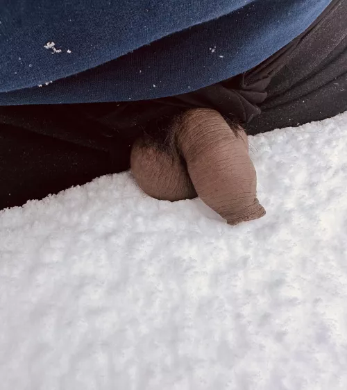 Snouting through some ❄️