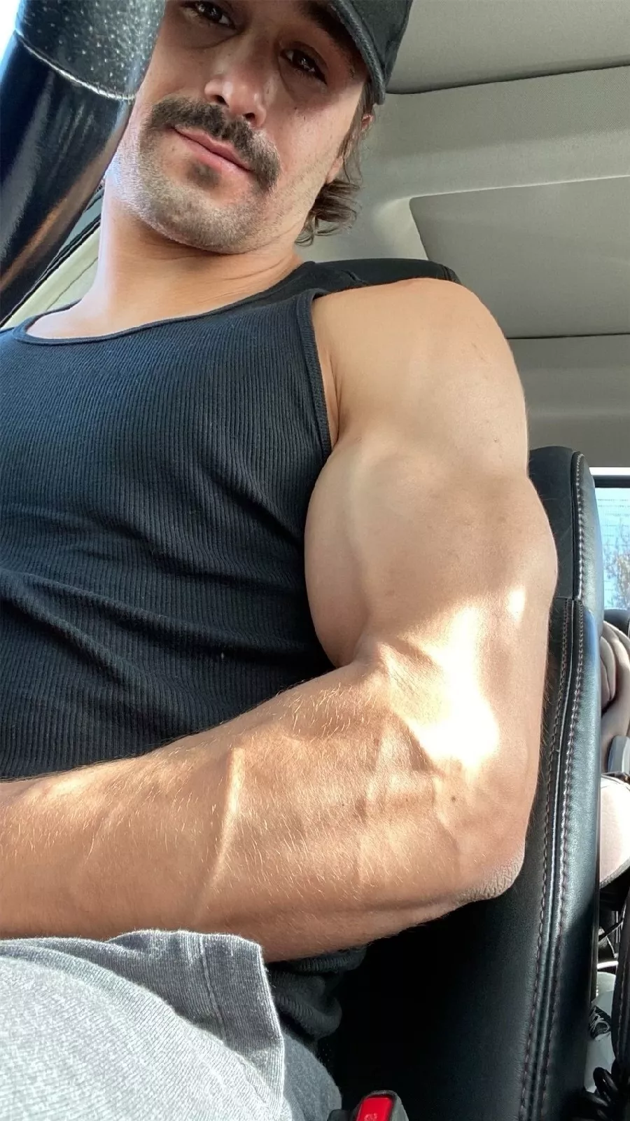 Veins