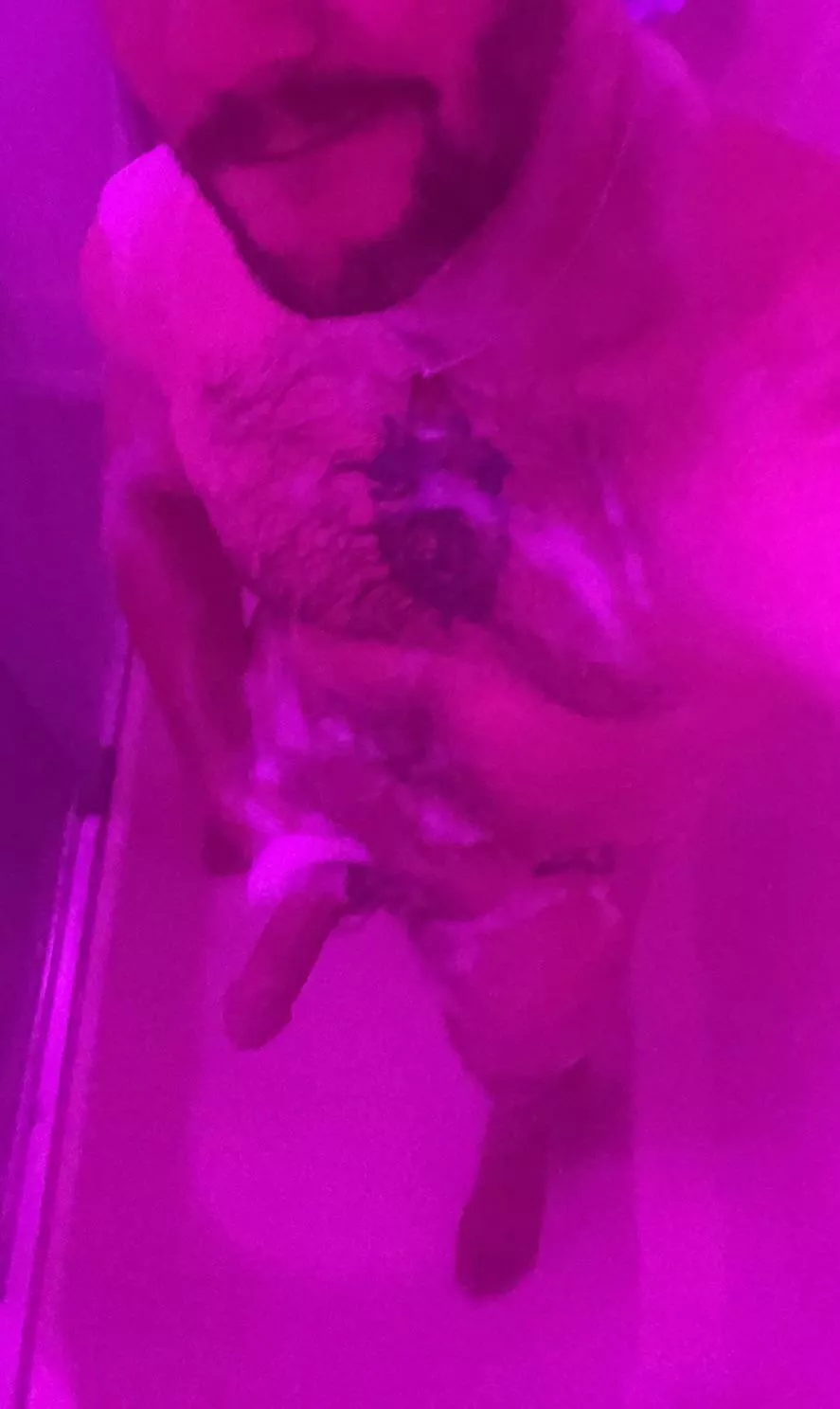 Who wants to join me?