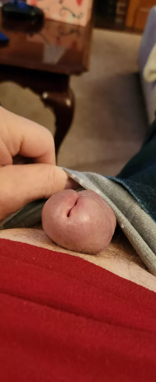 (55) Peeking out. Ready to play.