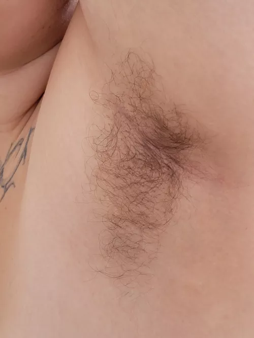 a close up of my fluffy pit