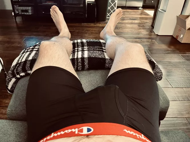 Always no pants around here. Enjoying the view?😏