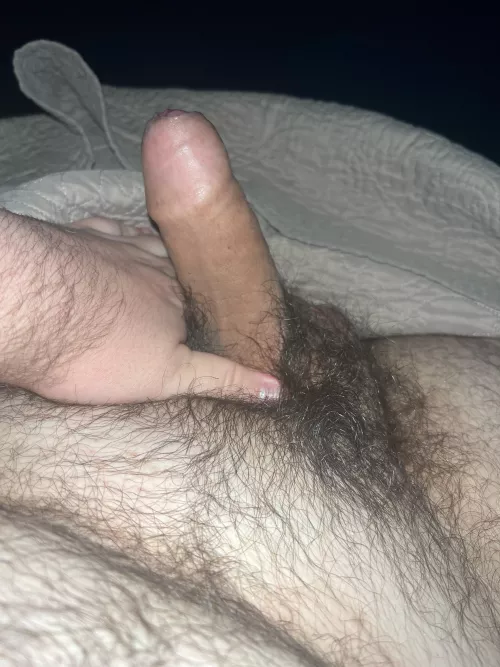 Anybody wanna jerk with me or show off their dick?