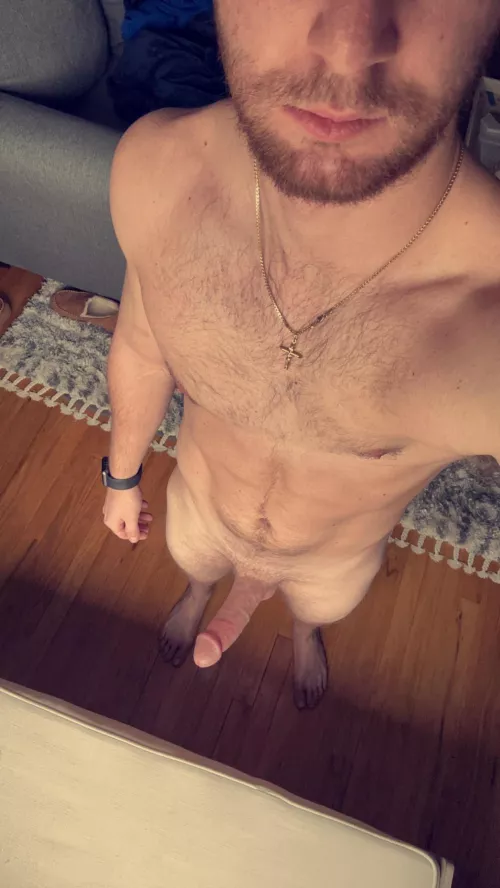 Could i shove this up your butt?