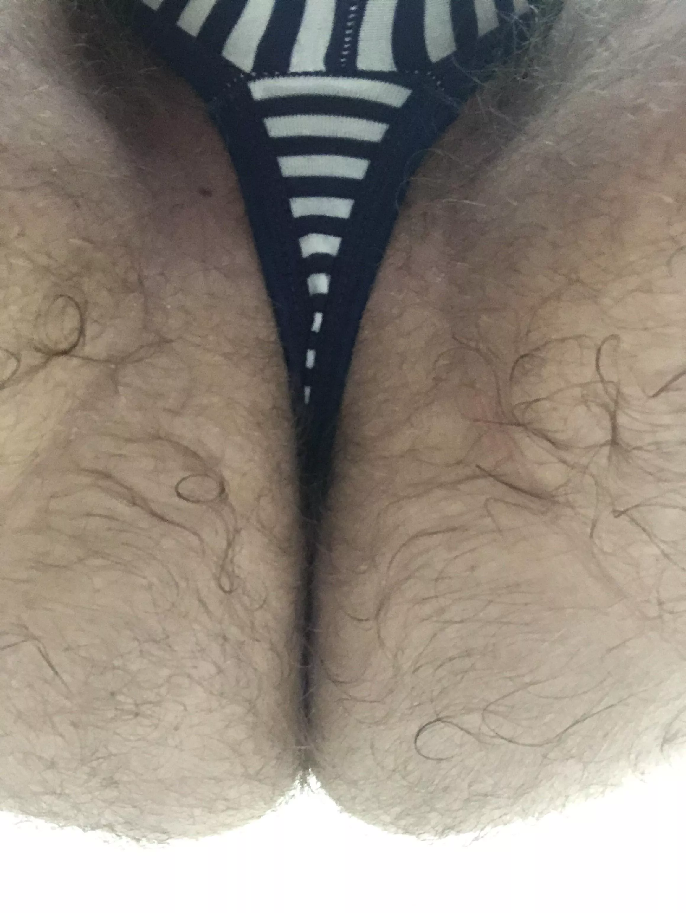 Hairy and thonged for your pleasure