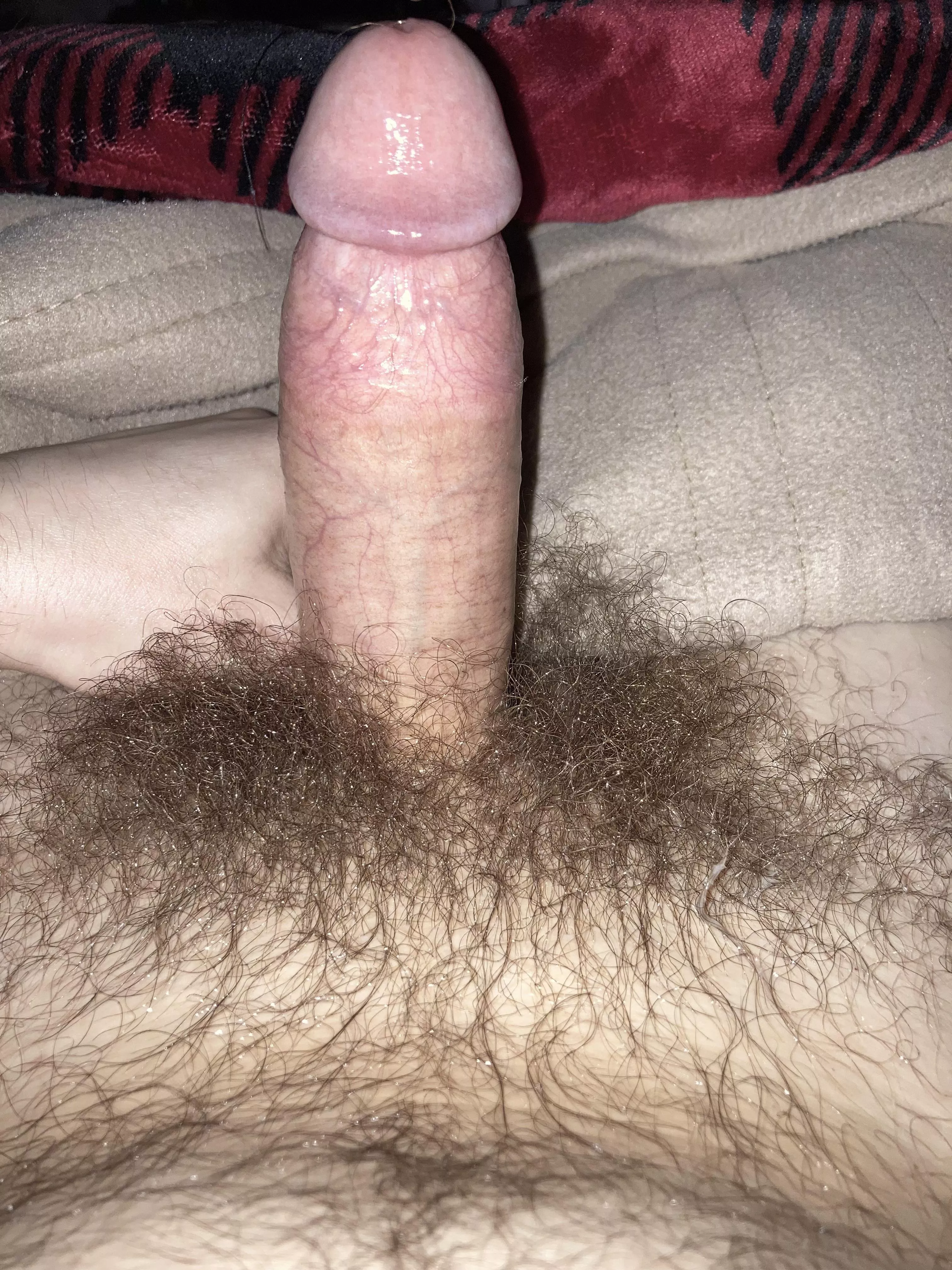 Haven’t shaved in ages