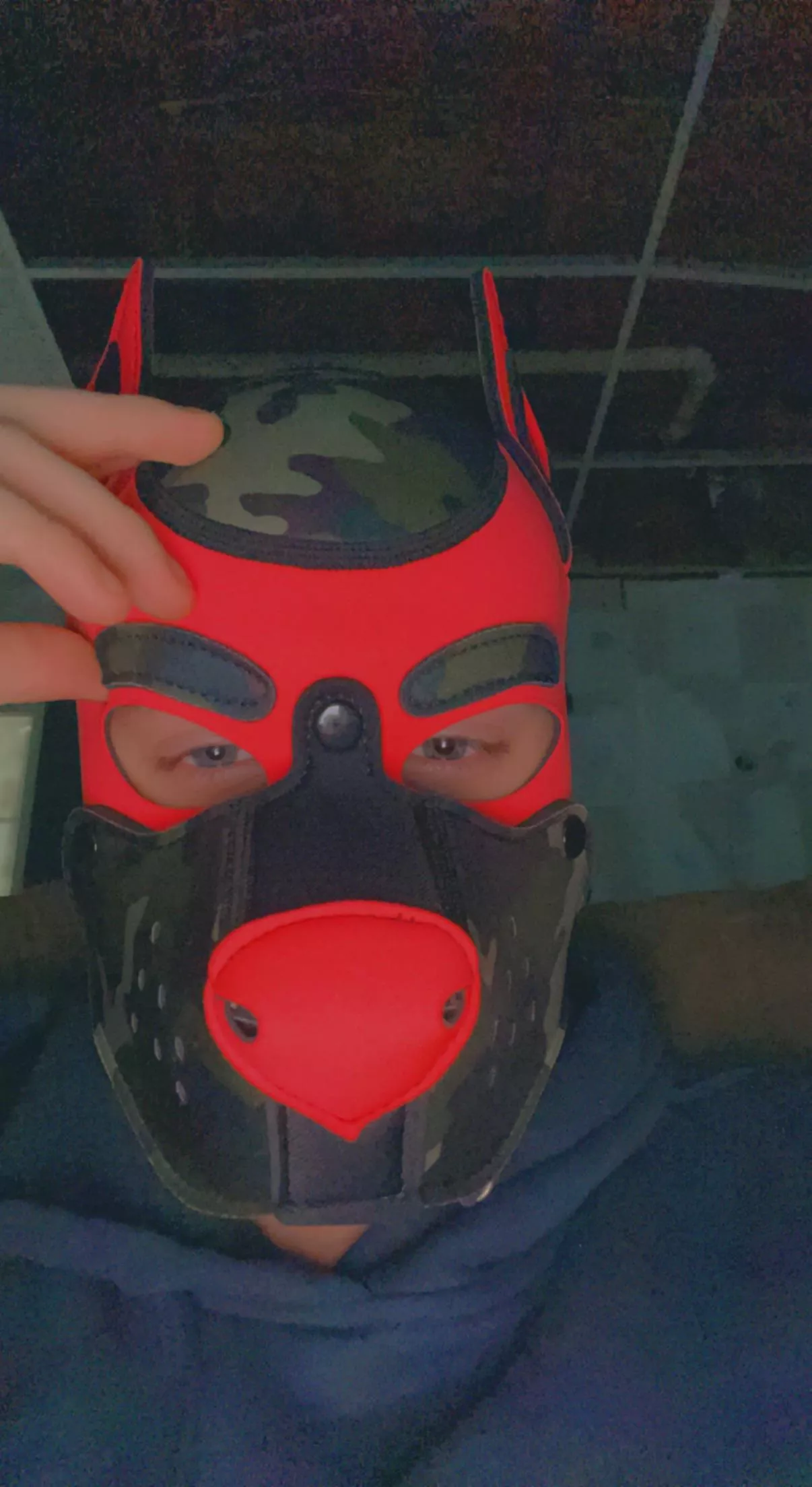 Looking for pup pals