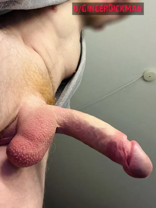 My ginger dick from below