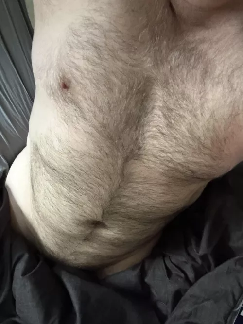 My hair is growing back in…🐻