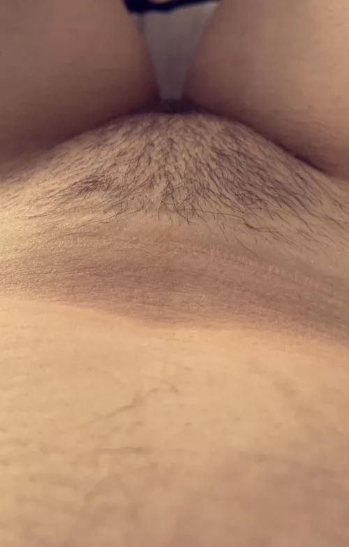 My mound from my POV