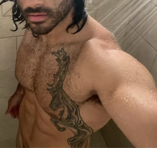 Need a good sub/sissy:)