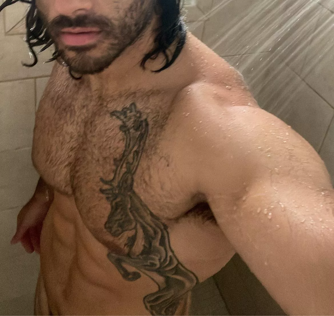 Need a good sub/sissy:)