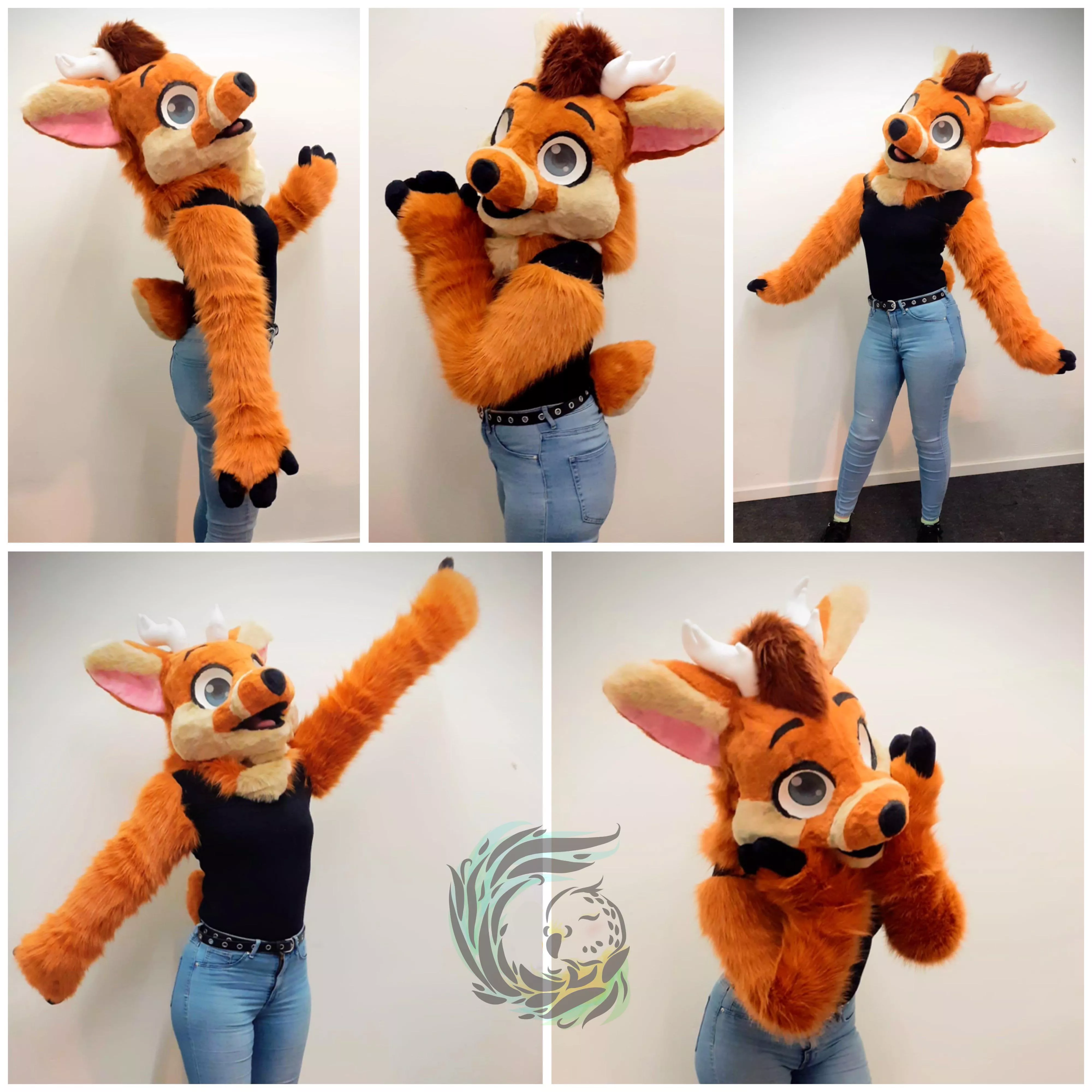 Say hello to Dough!! (Finished WIP by me) ✨✨