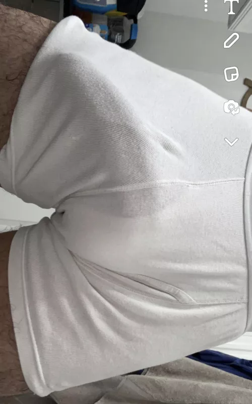 Should I let him out ?