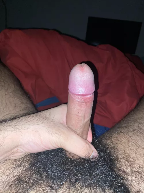 23 hairy and curious, looking to show off add me top_boy322