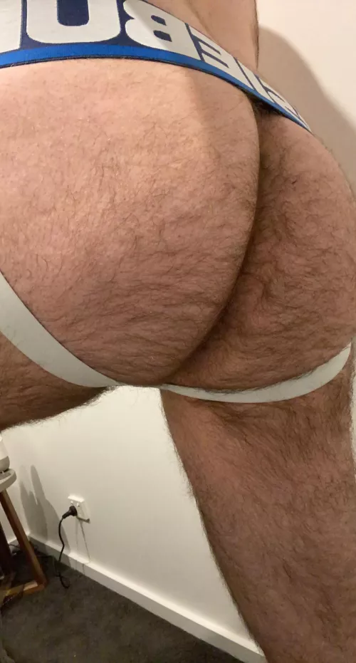 27 Aus bottom wanting to get off with hairy tops. Msg me for snap