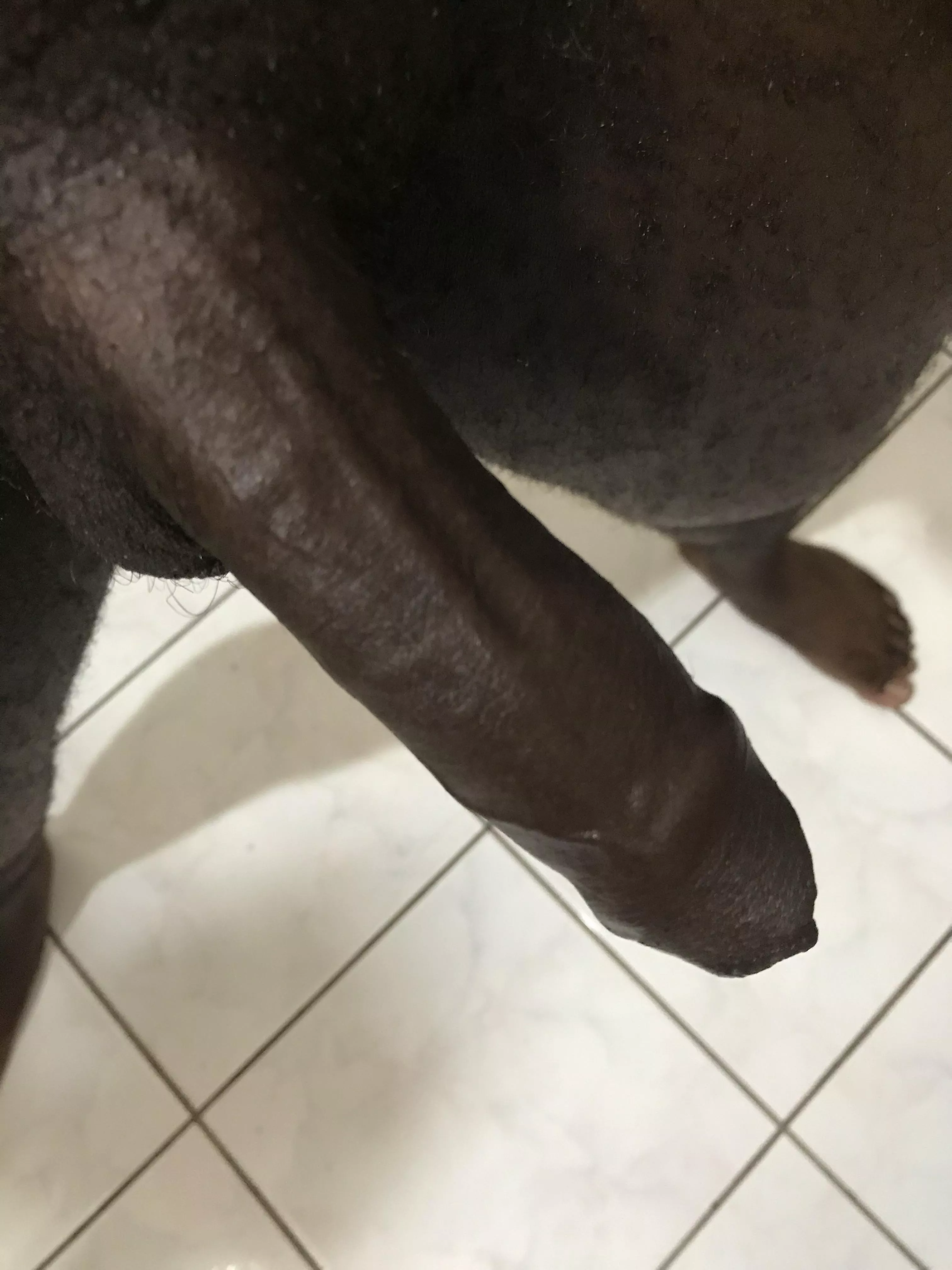 27 BBC looking for crossdressers and big booty bottoms