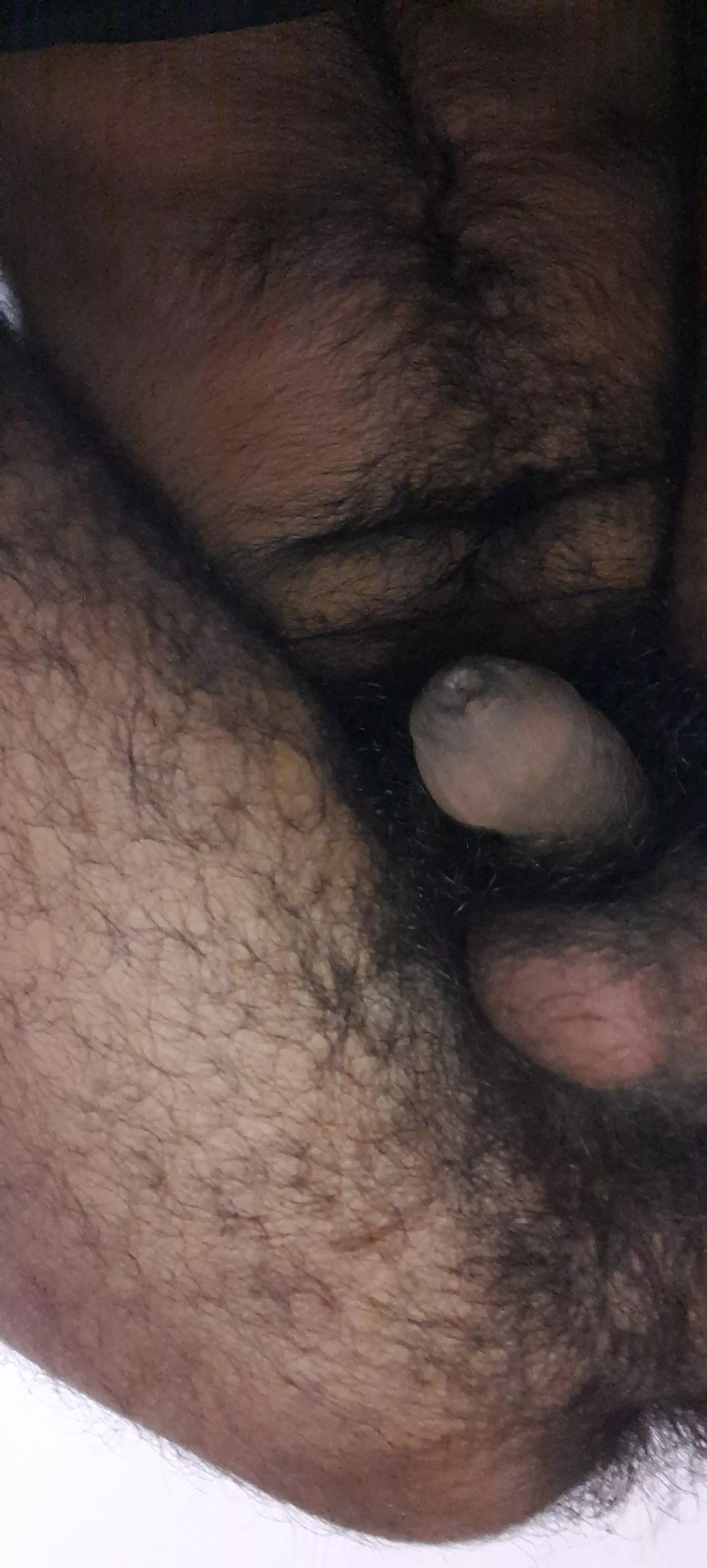 accidental click....enjoy