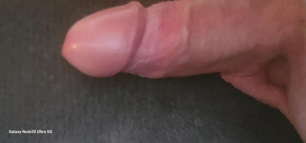 any bbws [f] into [m] I need a hot slick mommy to slip my salami in too im from regina sk area