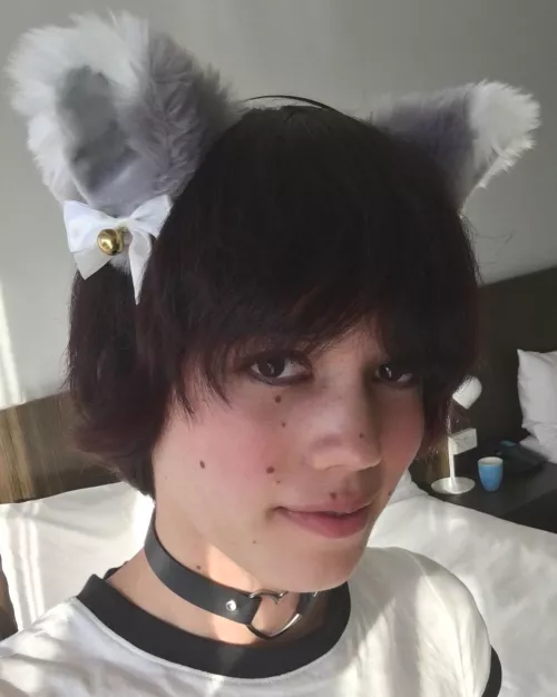 Are cat boys welcome here? 🥺