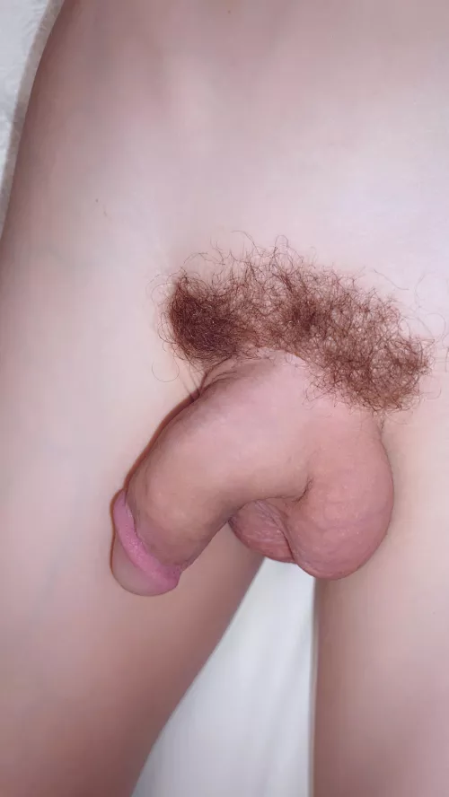 Body is totally unhairy except pubes.! [19]