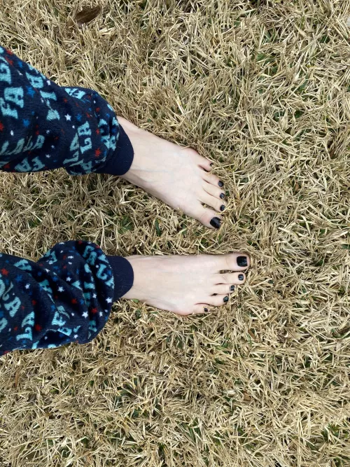 Cold days make for great walks in the grass 🥰 (OC)