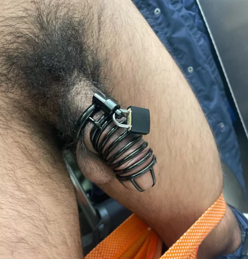 Had to go to the airport and husband locked me up. Told me to video call him while i I locked up after going thru security.