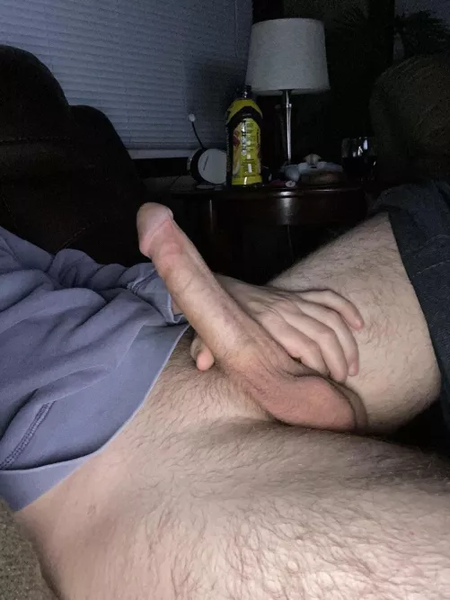 I need my big balls sucked on