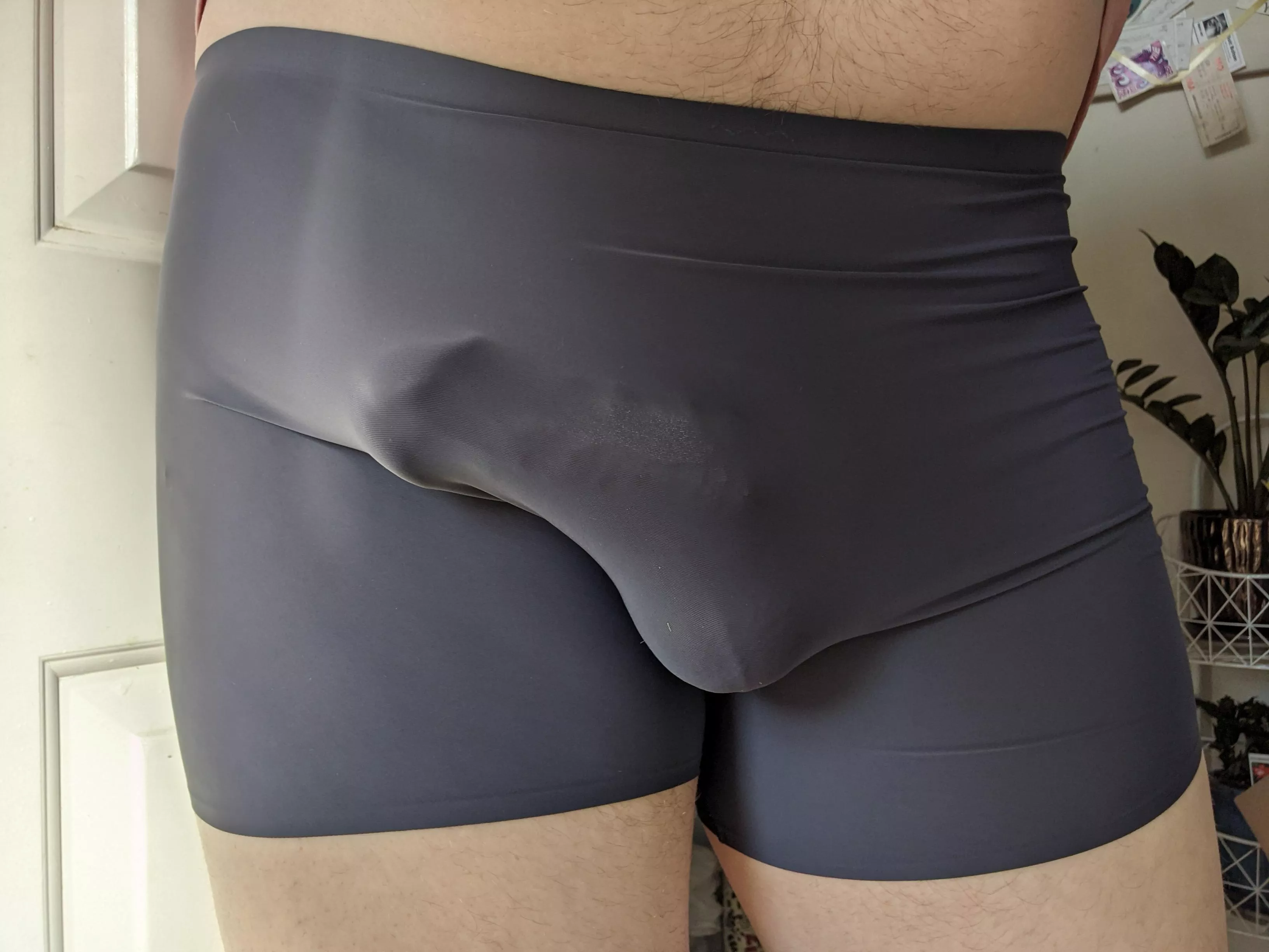 semi in some silkies