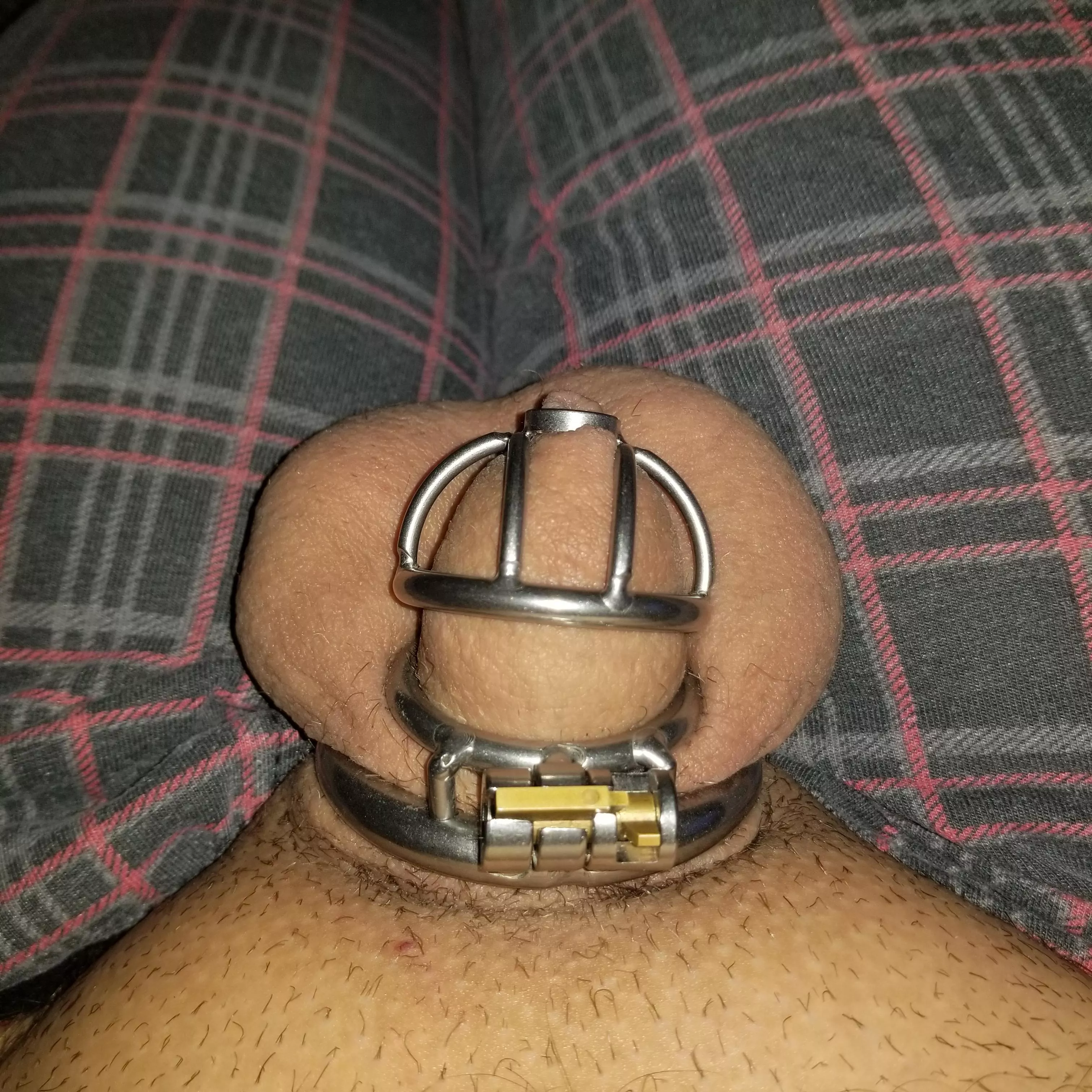 When all you want to do after a long and tiring week is cum. But you're locked up 🔒