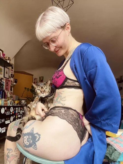 Who wants to play with me and Lowiegi the bengal? 🐈