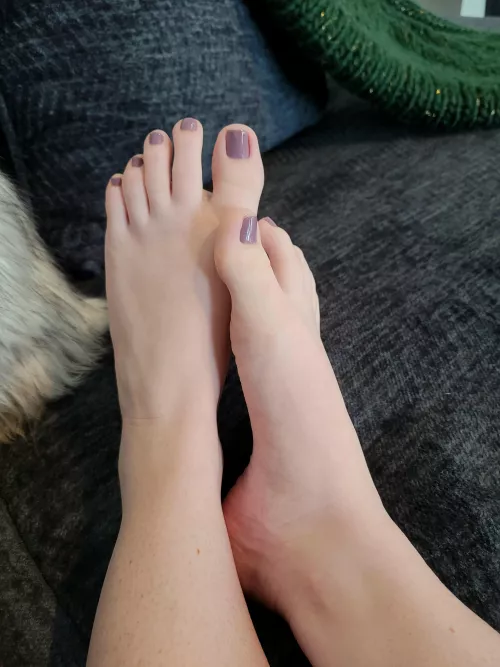 Who will be the lucky one to massage my feet until I fall asleep tonight?💜