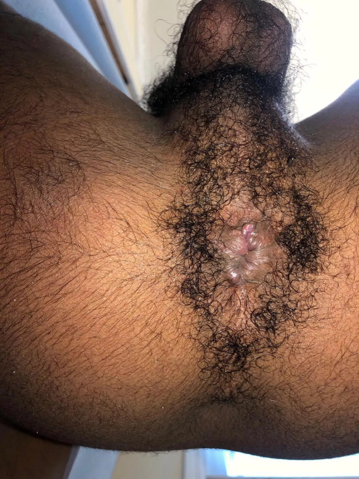 Would you lick my hairy hole?