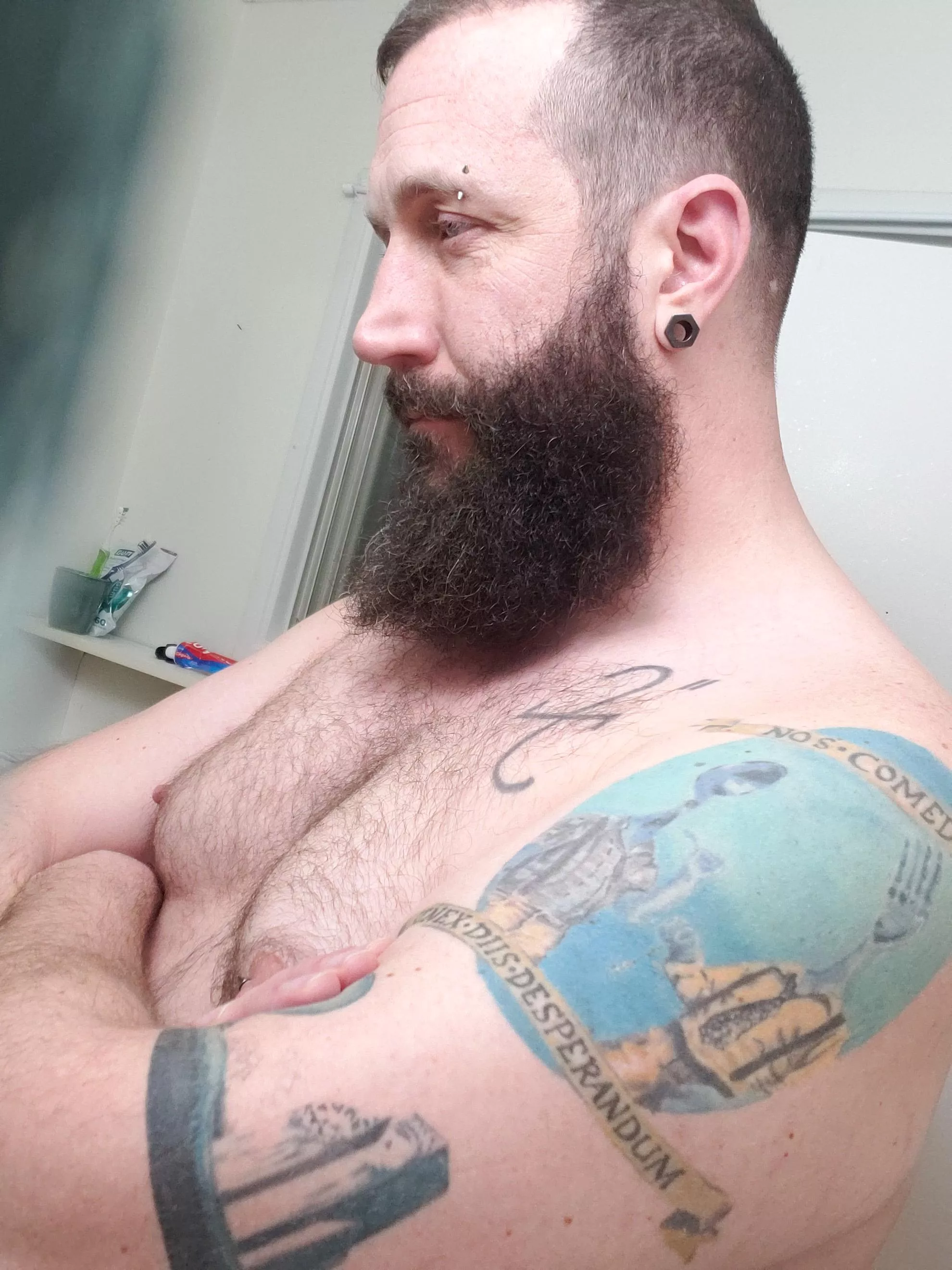 (42) Daddy bear