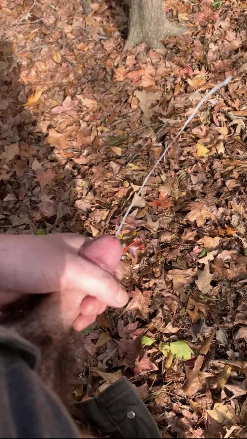 A still from a gif/video that I can’t seem to post