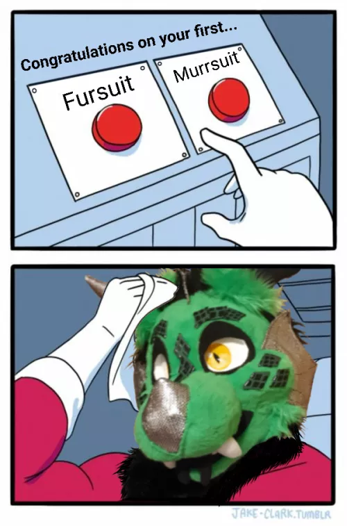 After 16 years in the fandom, I finally get to choose.